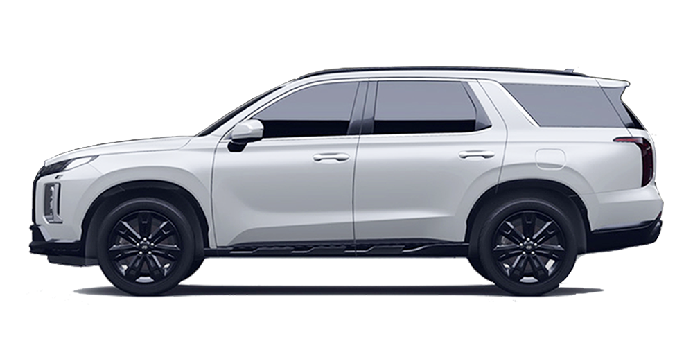 Palisade XRT